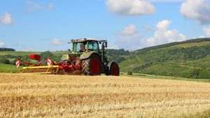 MADR: Aproximativ 918 milioane lei pentru fermieri, prin ajutoarele naţionale tranzitorii